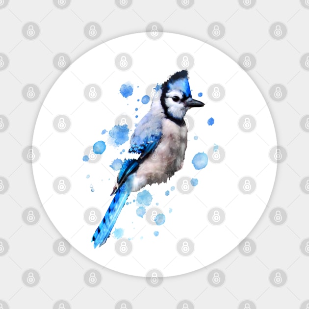 Dramabite Watercolor blue jay bird artistic animal painting Magnet by dramabite